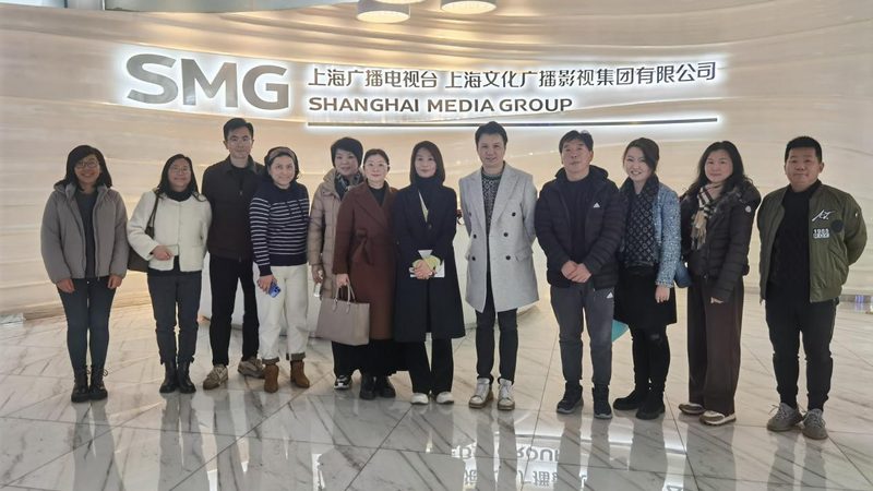 媒介投放排期步骤：精准布局，提升传播效率