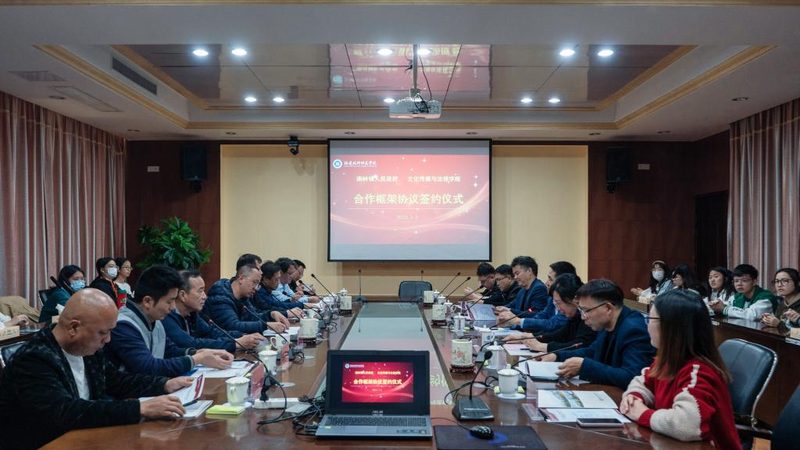 科技公司VI设计：揭秘专业流程与关键步骤