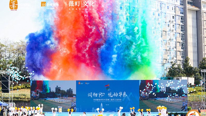 TVC广告片摄像机品牌排行：揭秘专业摄像机的核心要素**